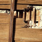 DSCN1608
