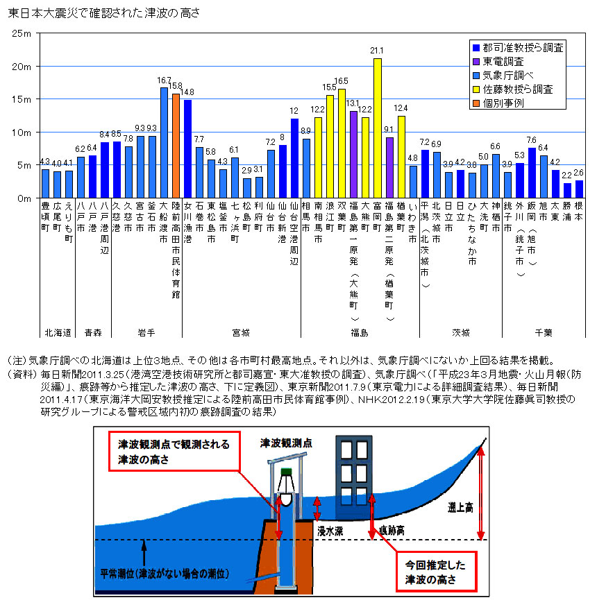 津波の高さ