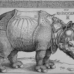 Rhinoceros-Albrecht-Durer-1515