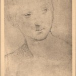 Drawing of the Virgin by Raffaello Sanzio