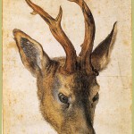 head-of-a-stag