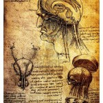 14376168-ancient-anatomical-drawings-made-by-leonardo-davinci-a-study-of-the-human-brain-and-nervous-system